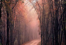 开云体育入口-卡尔蒂斯球队配合日益默契，世俱杯表现备受关注