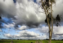 开云体育官方网站-蒙特雷训练基地开放，备战世俱杯进入冲刺阶段