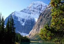 开云体育入口-卡尔蒂斯球队配合日益默契，世俱杯表现备受关注