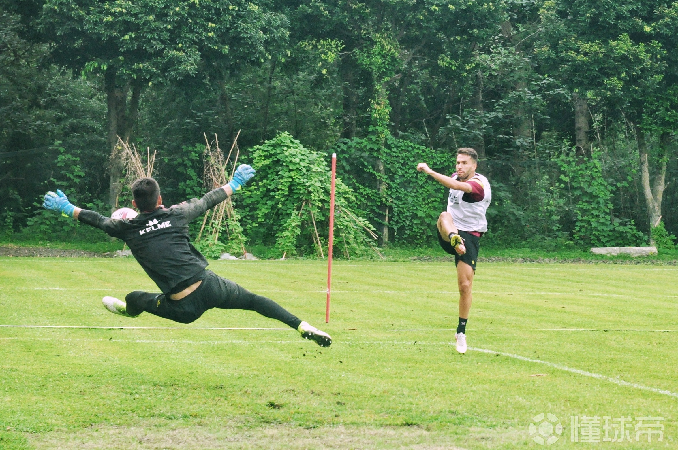 开云体育官网-关于江苏队在比赛中全力以赴，勇夺一场胜利的信息