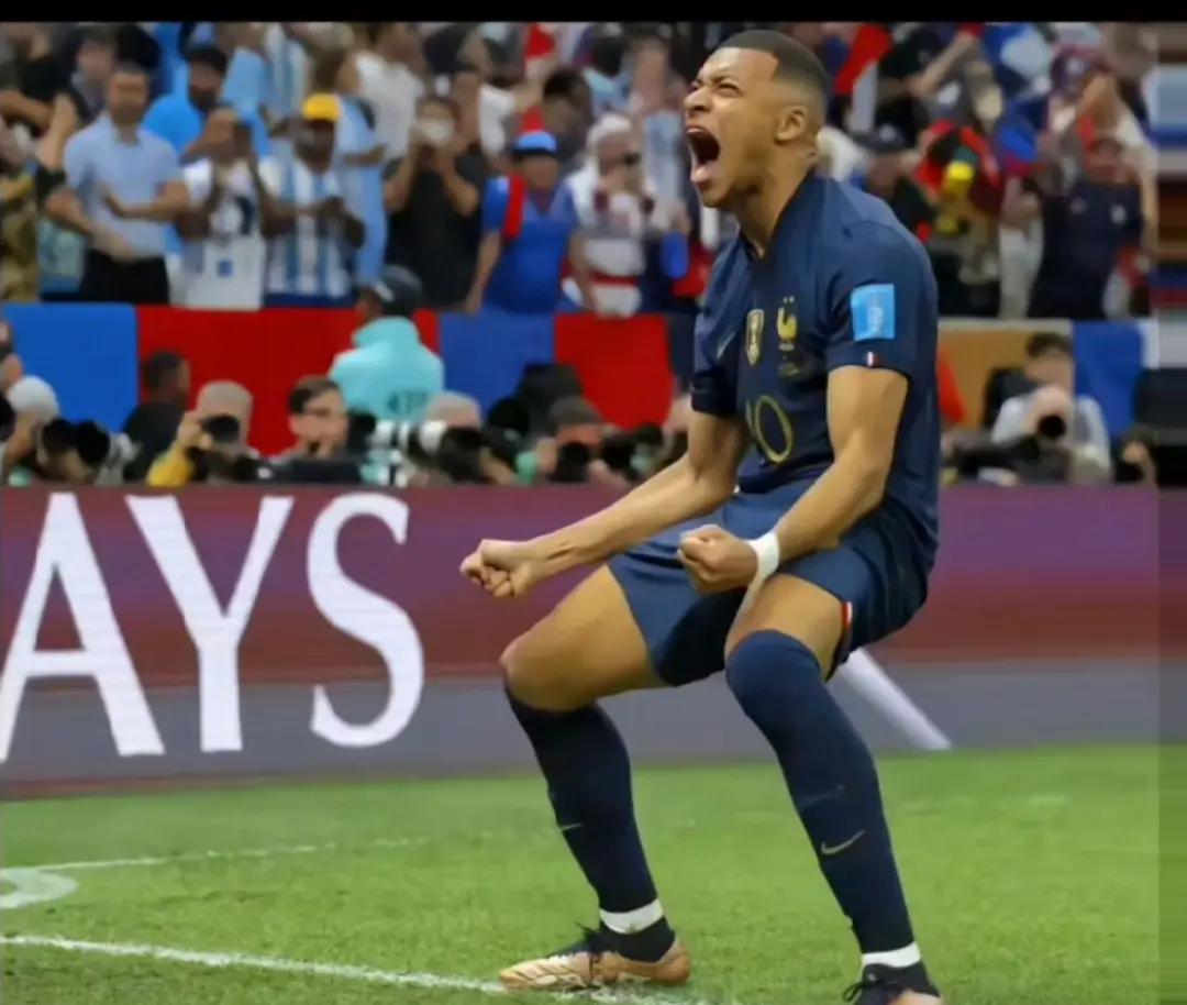 法国队大比分领先，轻松击溃芬兰队的简单介绍