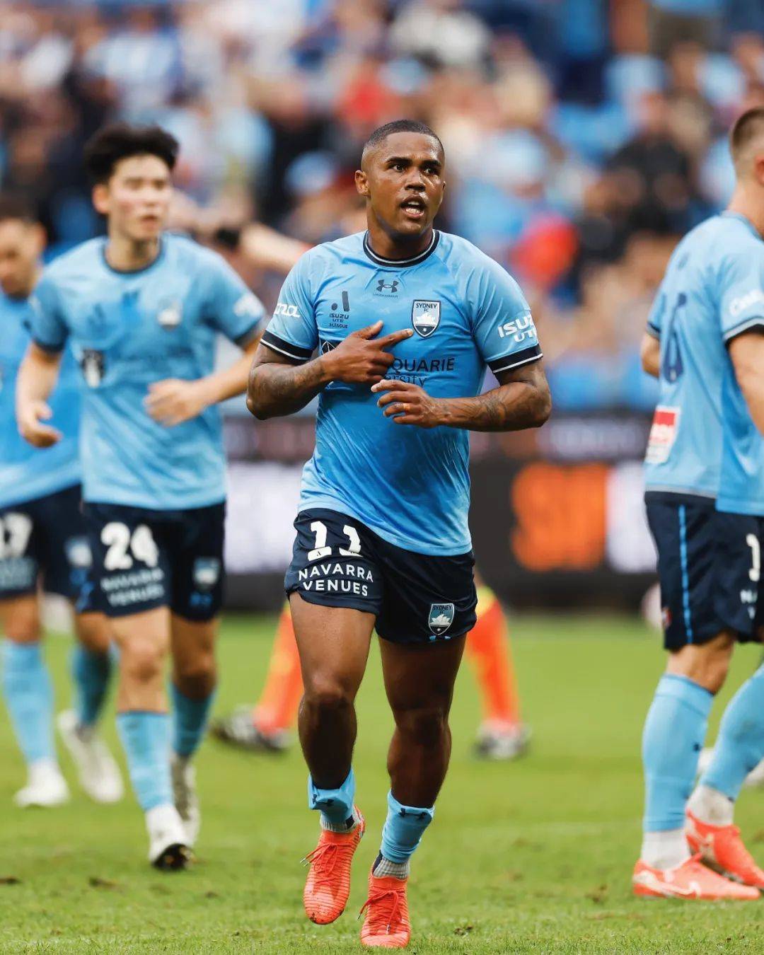 悉尼主场失利，出线形势岌岌可危的简单介绍