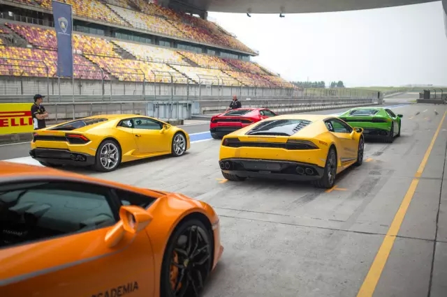 法国势不可挡,蓄势待发的简单介绍 法国势不可挡,蓄势待发的简单介绍