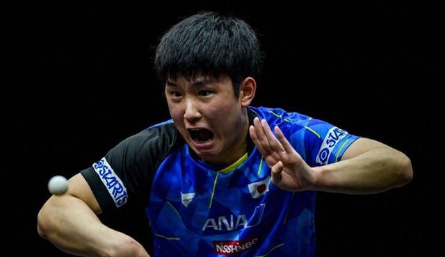 日本队鏖战韩国队,张本智和状态火热的简单介绍 日本队鏖战韩国队,张本智和状态火热的简单介绍